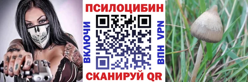 Купить закладки  Медвежьегорск  Галлюциногенные грибы ЛСД 